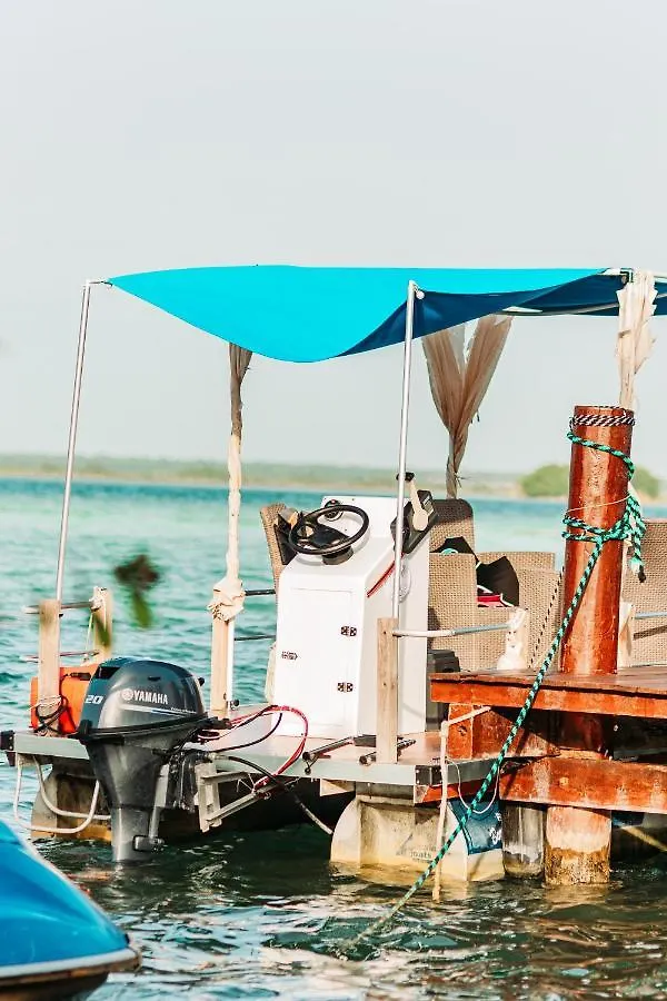 Blue Bird Ξενοδοχείο Bacalar